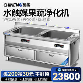 水触媒食品净化机